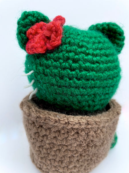 Crocheted “Cat-ctus” Plant - MADE TO ORDER